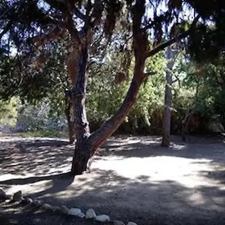 Kantouni By The Sea בית נופש *